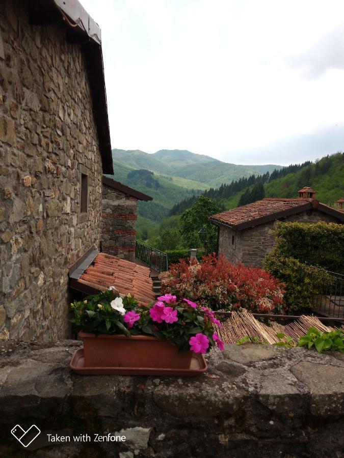 Agriturismo Ristoro del Cavaliere Villa Piazza al Serchio Esterno foto