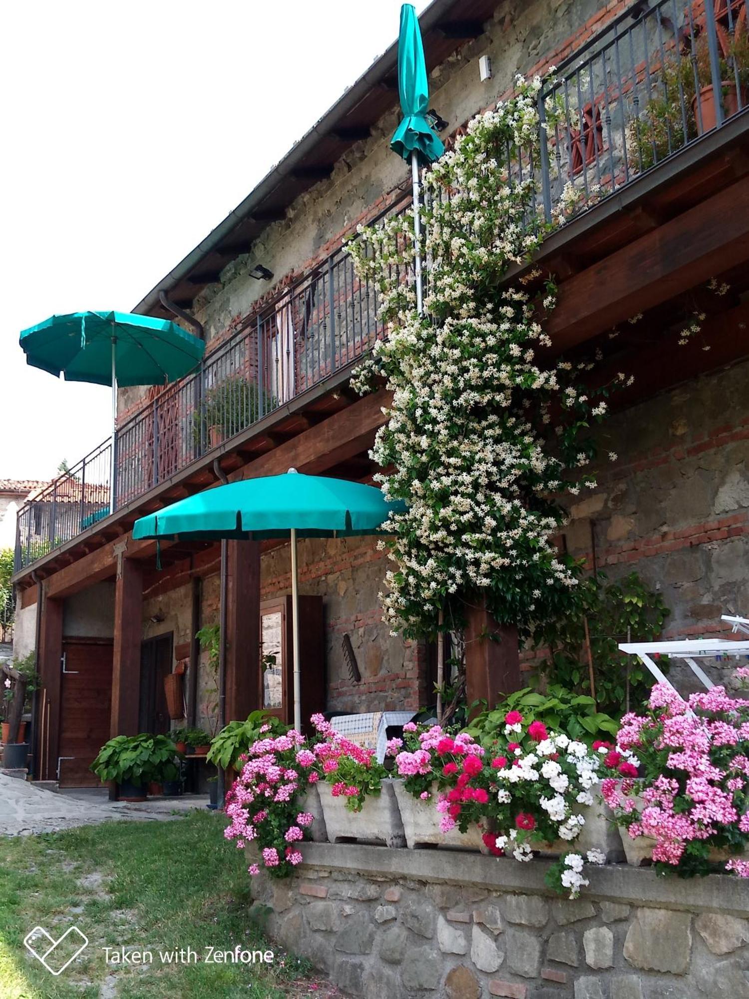 Agriturismo Ristoro del Cavaliere Villa Piazza al Serchio Esterno foto